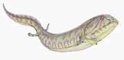 Life restoration of Crassygyrinus.