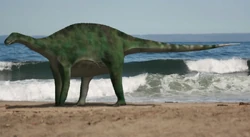 Brachytrachelopan BW2