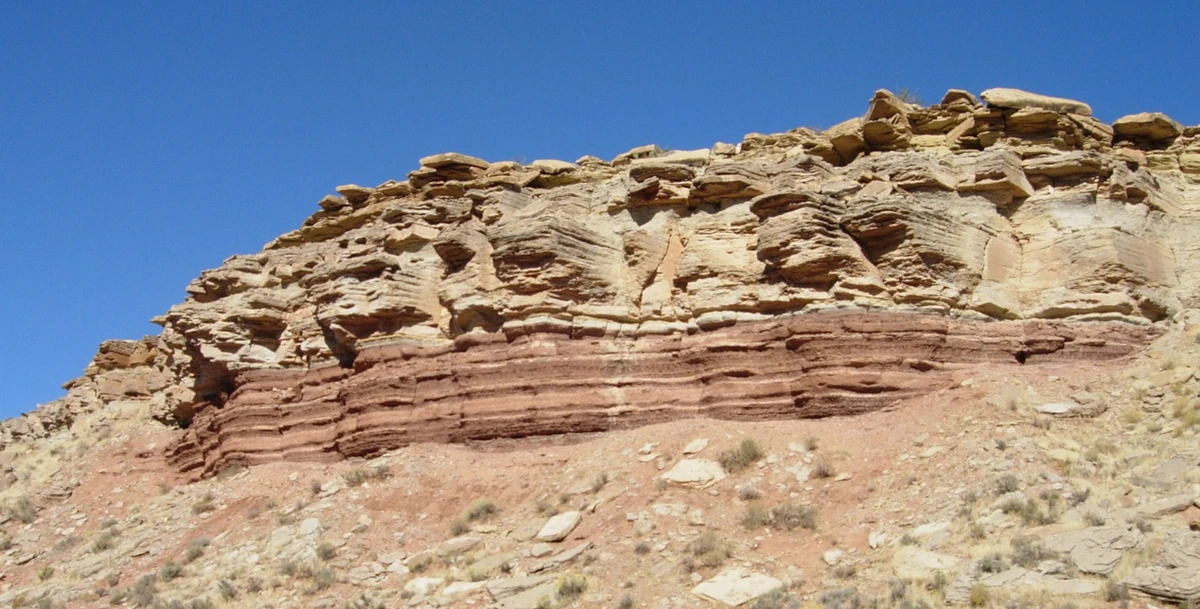 Sedimentary rock Fossil Wiki Fandom