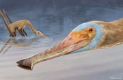 Art impression of Balaenognathus maeuseri