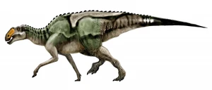 Gryposaurus 