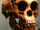 Homo floresiensis