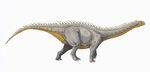 Barapasaurus DB