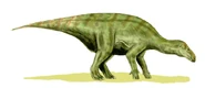 a iguanodontian