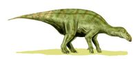 Iguanodon bernissartensis