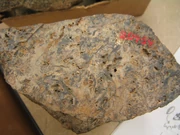 An unpolished hand sample of the  Rhynie Chert from Scotland.