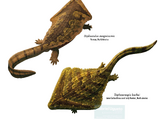 Diplocaulus