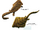 Diplocaulus
