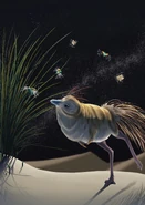 Life reconstruction of Shuvuuia deserti.png (8.5 MB)