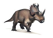 Reconstruction of Centrosaurus apertus
