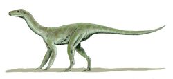 Silesaurus BW