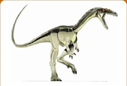 Small dinosaurs are known in Armenia. They date from the Santonian to the Campanian.