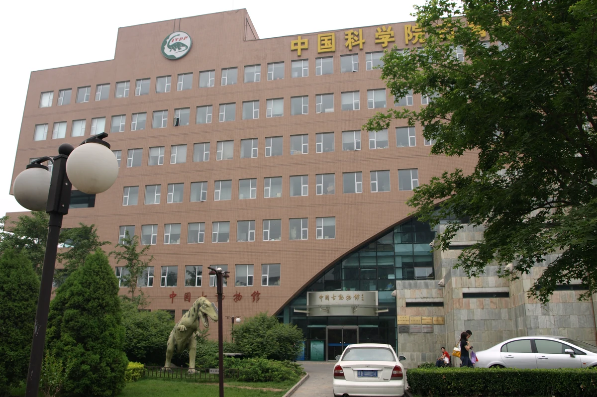 Paleozoological Museum of China Fossil Wiki Fandom