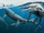 Shonisaurus