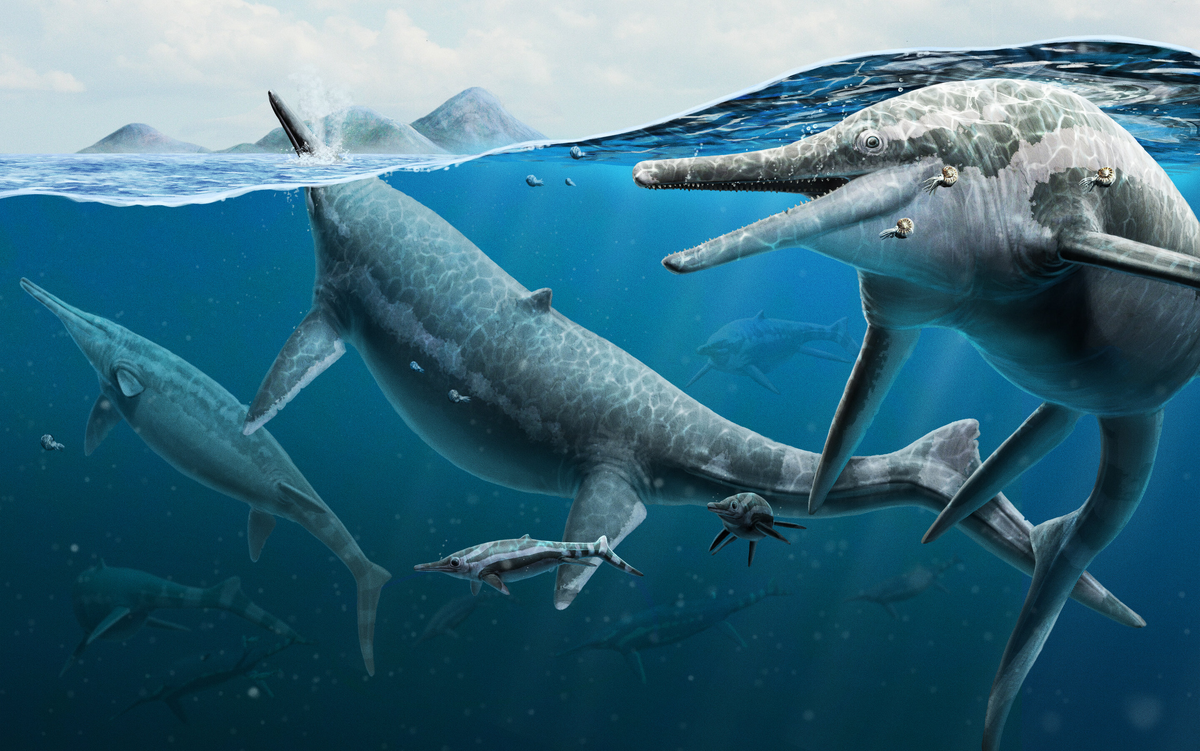 Shonisaurus | Fossil Wiki | Fandom