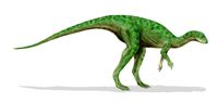 Othnielosaurus BW
