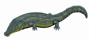 Melosaurus platyrhinus