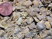  and  in an  limestone, southern Minnesota.