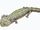 Dvinosaurus