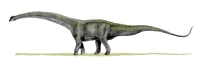 Futalognkosaurus
