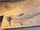 Cimolichthys
