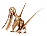 Pterodaustro BW