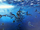 Ichthyosaurus