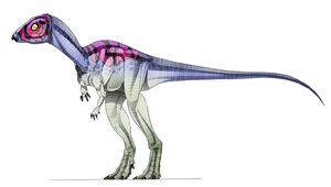 Micropachycephalosaurus