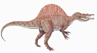 Spinosaurus1DBa