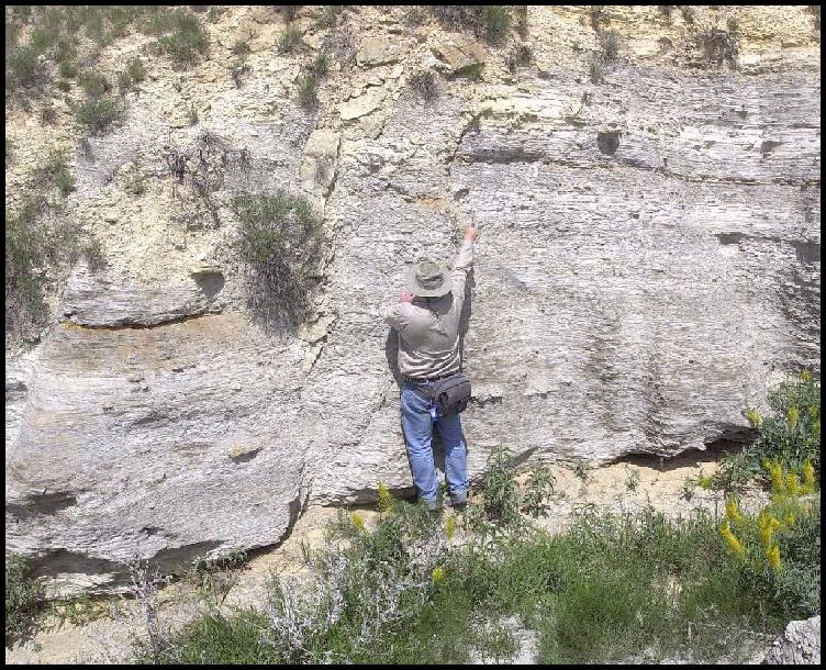 Smoky Hill Chalk Fossil Wiki Fandom