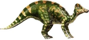 Hypacrosaurus