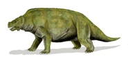 Provelosaurus brasiliensis - a pareiasaur