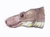 Annatherapsidus