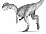 Dinosaurs of India