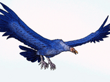 Argentavis