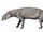 Astrapotherium