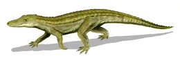 Uberabasuchus BW