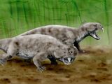 Hyperodapedon