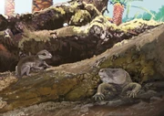 Art impression of Brasilodon & Riograndia