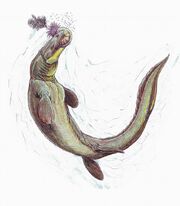 Prognathodon solvayi