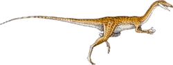Coelophysis-restoration