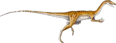 Coelophysis-restoration