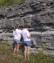 A stratigraphic section of  limestone exposed in central , U.S. The less-resistant and thinner beds are composed of . Vertical lines are drill holes for explosives used during road construction.