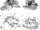 Kinkonychelys