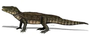 Reconstruction of Varanosuchus sakonnakhonensis