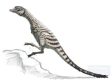 Shuvuuia