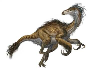 The Climbing, Flying Babies of Deinonychus - Scientific American Blog  Network