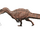 Ichthyovenator