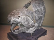 Dunkleosteus Skull at .