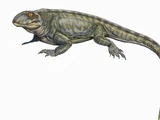 Sphenacodontidae